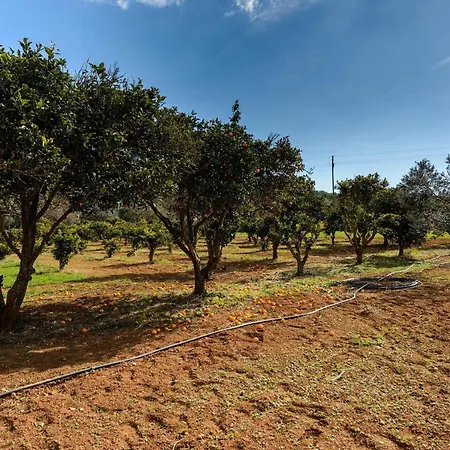 Nadja - Santa Eulalia Villa Santa Eularia des Riu